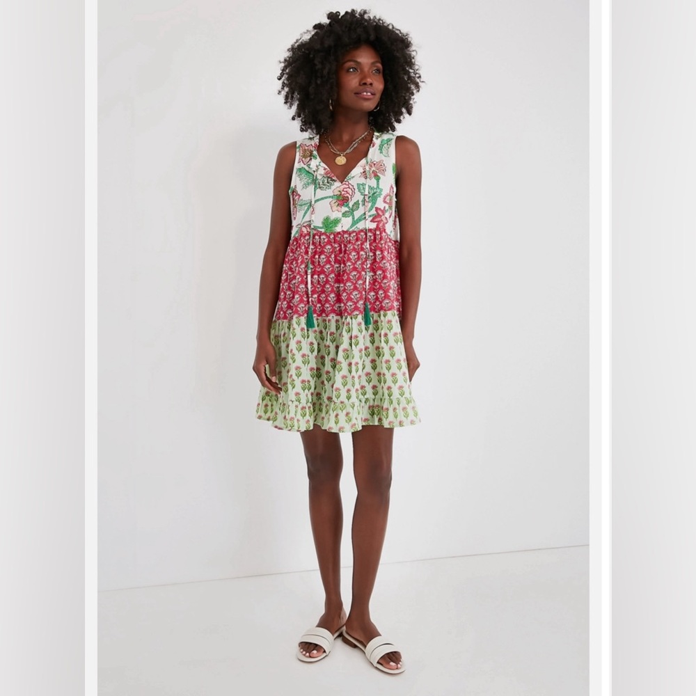 Watermelon Bloom Mini Salty Paloma Coverup dress by Tuckernuck